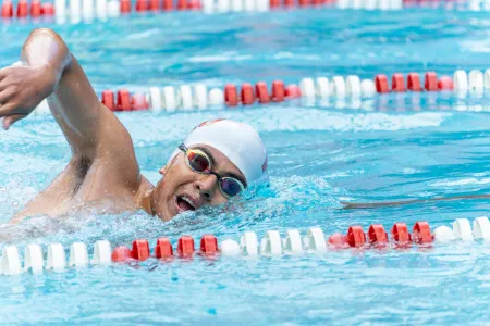 Natation en bassin olympique image libre de droit