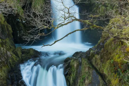 Cascade en forêt image libre de droit
