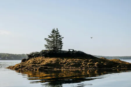 Un ilot image libre de droit