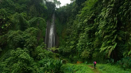 Cascade en forêt image libre de droit