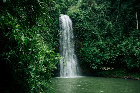 Un beau cascade en forêt image libre de droit