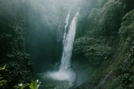 Un cascade en pleine forêt image libre de droit