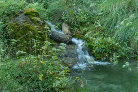 Un paysage avec un ruisseau image libre de droit