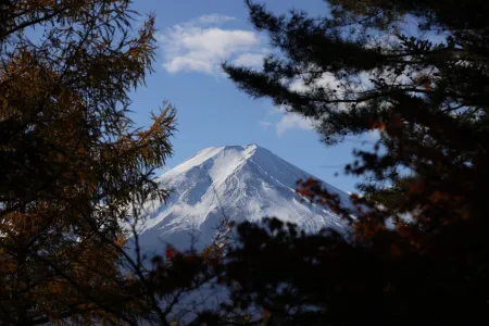 Mont Fuji enneigé vu à travers la forêt image libre de droit