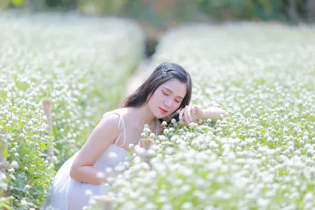 Jeune femme dans un champ de fleurs blanches image libre de droit